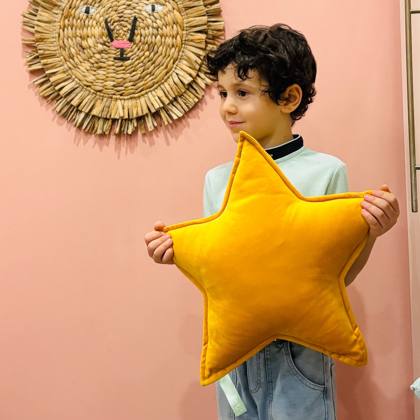 My Shining Star Cushion